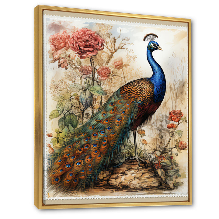 Vintage Illustration Of Glorious Peacock - Peacock Large Canvas Wall Art
