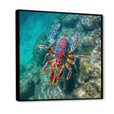 Purple Majestic Lobster Turquoise Tropical Water - Marine Animals Wall Art Prints
