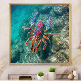 Purple Majestic Lobster Turquoise Tropical Water - Marine Animals Wall Art Prints