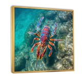 Purple Majestic Lobster Turquoise Tropical Water - Marine Animals Wall Art Prints