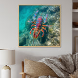 Purple Majestic Lobster Turquoise Tropical Water - Marine Animals Wall Art Prints