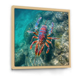 Purple Majestic Lobster Turquoise Tropical Water - Marine Animals Wall Art Prints