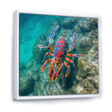 Purple Majestic Lobster Turquoise Tropical Water - Marine Animals Wall Art Prints