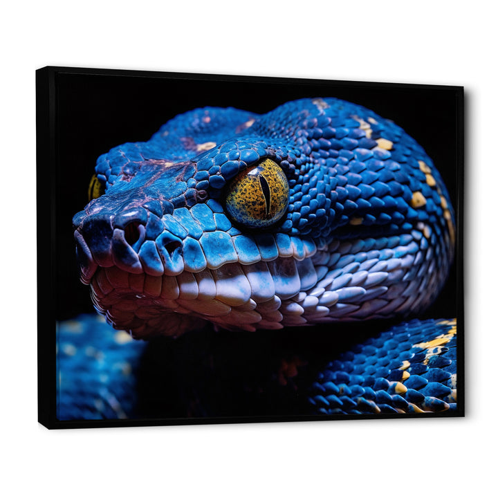 Blue Anaconda Snake Wildlife Photography - Blue Snake Wall Art