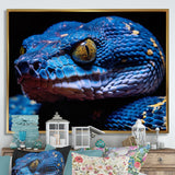 Blue Anaconda Snake Wildlife Photography - Blue Snake Wall Art