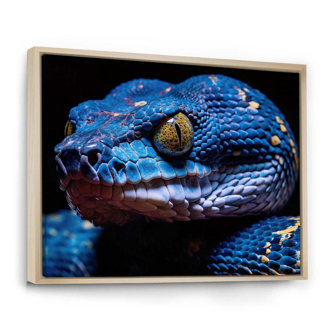 Blue Anaconda Snake Wildlife Photography - Blue Snake Wall Art