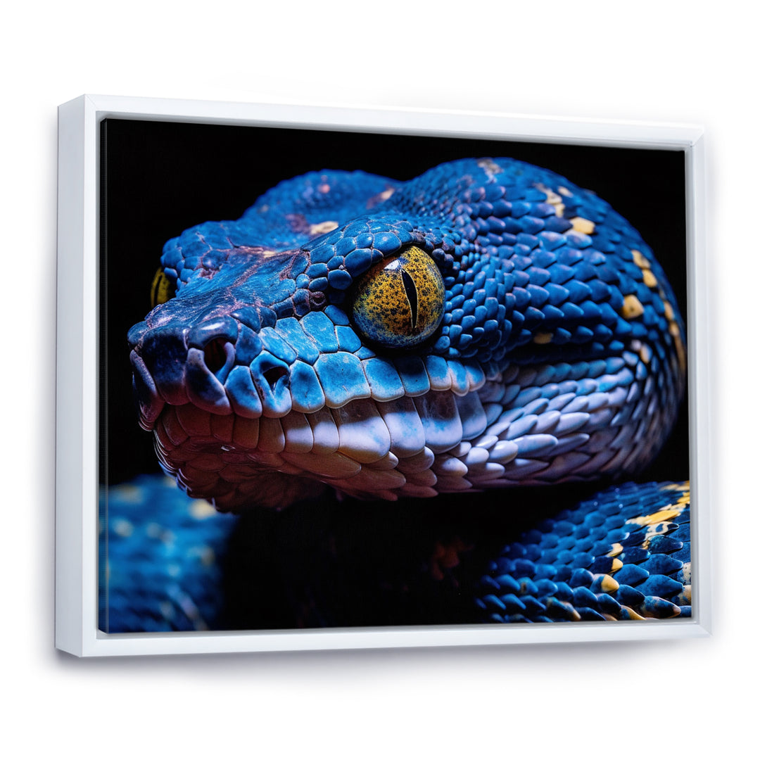 Blue Anaconda Snake Wildlife Photography - Blue Snake Wall Art