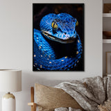 Portrait Of Blue Viper Snake Wildlife - Snake Large Canvas Wall Art