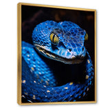 Portrait Of Blue Viper Snake Wildlife - Snake Large Canvas Wall Art