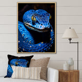 Portrait Of Blue Viper Snake Wildlife - Snake Large Canvas Wall Art
