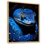 Portrait Of Blue Viper Snake Wildlife - Snake Large Canvas Wall Art