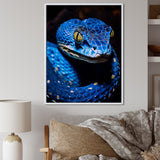 Portrait Of Blue Viper Snake Wildlife - Snake Large Canvas Wall Art