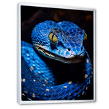 Portrait Of Blue Viper Snake Wildlife - Snake Large Canvas Wall Art