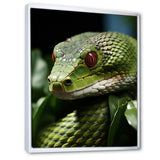 Portrait Of Green Snake Wildlife Photography - Snake Living Room Wall Art
