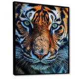 Portrait Of A Wild Tiger Nature Photography - Tiger Canvas Wall Art