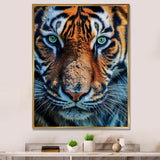 Portrait Of A Wild Tiger Nature Photography - Tiger Canvas Wall Art
