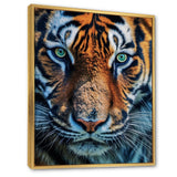 Portrait Of A Wild Tiger Nature Photography - Tiger Canvas Wall Art
