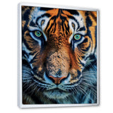 Portrait Of A Wild Tiger Nature Photography - Tiger Canvas Wall Art