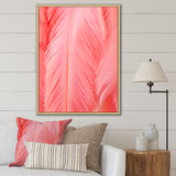 Boho Glam Pink Feather Elegance - Feathers Bedroom Wall Art