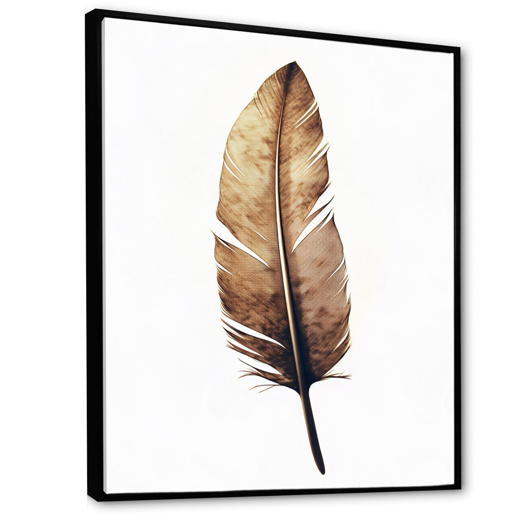 Brown Boho Feather On White Watercolor - Feathers Canvas Wall Art