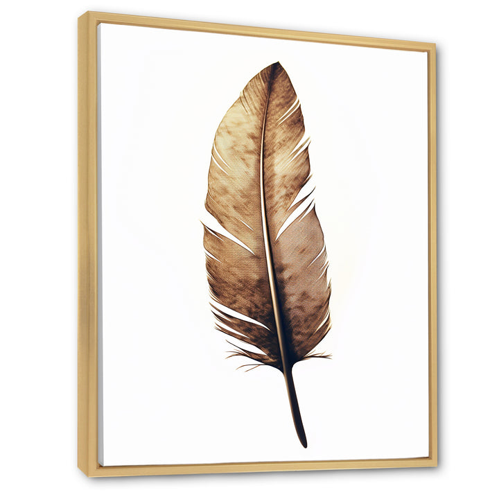 Brown Boho Feather On White Watercolor - Feathers Canvas Wall Art