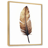 Brown Boho Feather On White Watercolor - Feathers Canvas Wall Art