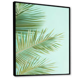 Tropical Palms Leaves Illustration - Feathers Wall Decor