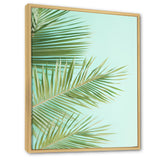 Tropical Palms Leaves Illustration - Feathers Wall Decor