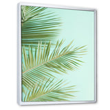 Tropical Palms Leaves Illustration - Feathers Wall Decor
