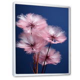 Delicate Pink Dandelion Flowers On Blue Sky - Feathers Wall Art Prints
