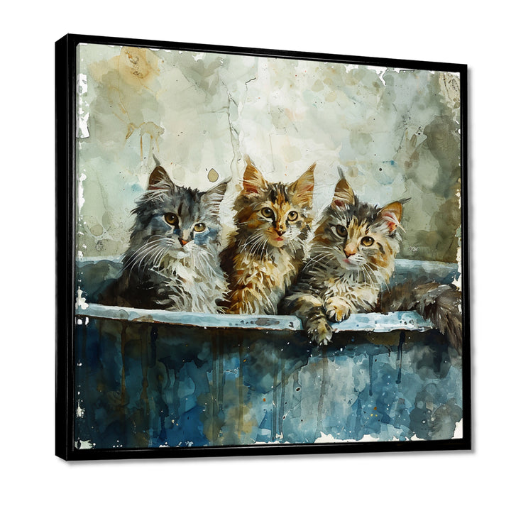 Three Cute Kitten In A Bathtub - Cat Bathroom Large Canvas Wall Art