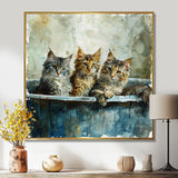 Three Cute Kitten In A Bathtub - Cat Bathroom Large Canvas Wall Art