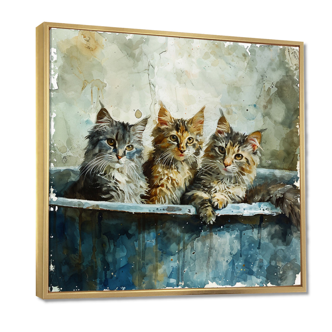 Three Cute Kitten In A Bathtub - Cat Bathroom Large Canvas Wall Art