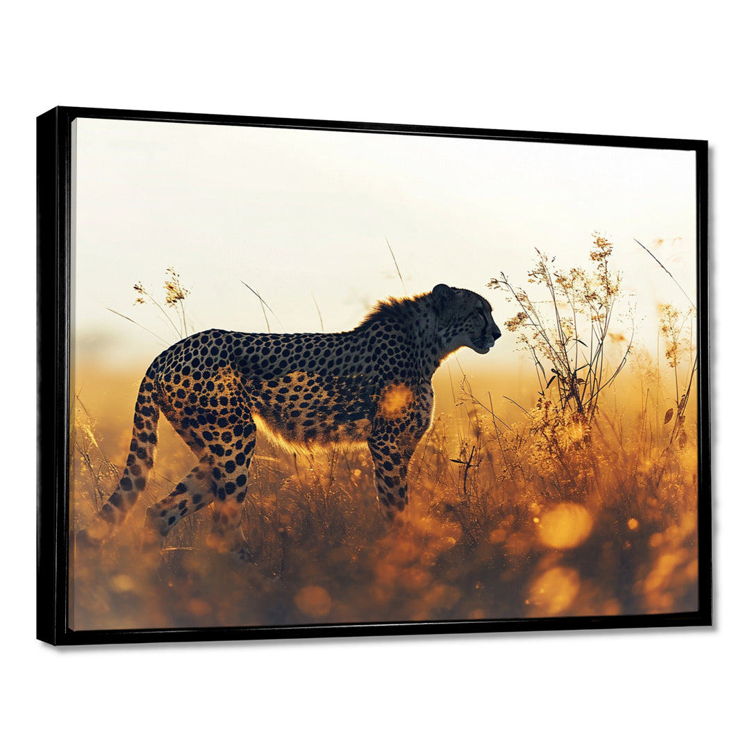 Majestic Cheetah On The Sunset Prairie - Cheetah Home Decor Art