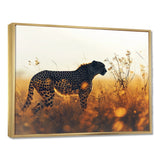Majestic Cheetah On The Sunset Prairie - Cheetah Home Decor Art