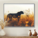 Majestic Cheetah On The Sunset Prairie - Cheetah Home Decor Art