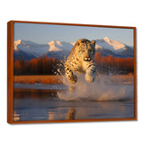 Cougar Running In The Mountain River - Cheetah Bedroom Wall Art