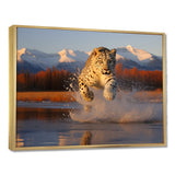 Cougar Running In The Mountain River - Cheetah Bedroom Wall Art