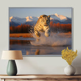 Cougar Running In The Mountain River - Cheetah Bedroom Wall Art
