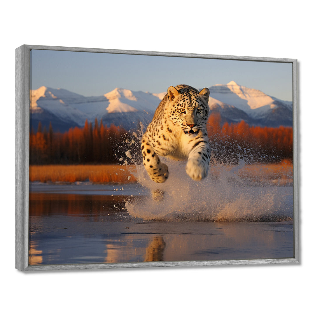 Cougar Running In The Mountain River - Cheetah Bedroom Wall Art