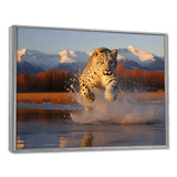 Cougar Running In The Mountain River - Cheetah Bedroom Wall Art