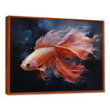 Vibrant Red Betta Fish Majestic Tail - Orange Fish Wall Art