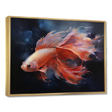 Vibrant Red Betta Fish Majestic Tail - Orange Fish Wall Art