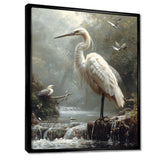 White Heron Looking For River Pray - Heron Framed Canvas Art