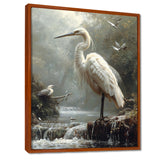 White Heron Looking For River Pray - Heron Framed Canvas Art