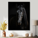 Portrait Of A Gracious Black Horse - Black Horse Wall Art