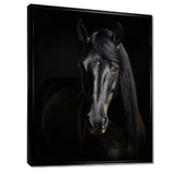 Portrait Of A Gracious Black Horse - Black Horse Wall Art