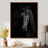 Portrait Of A Gracious Black Horse - Black Horse Wall Art