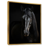 Portrait Of A Gracious Black Horse - Black Horse Wall Art