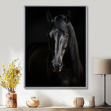 Portrait Of A Gracious Black Horse - Black Horse Wall Art